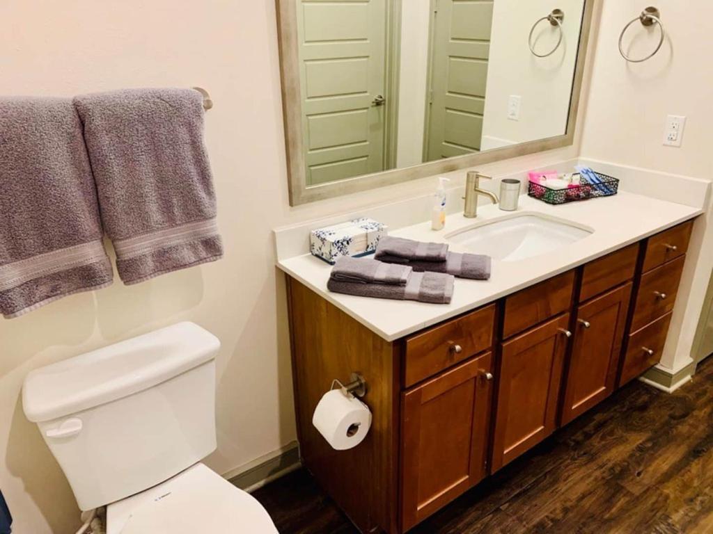 Downtown Apt Free Parking - Pool - Gym - Fully Kitchen Houston Exterior foto